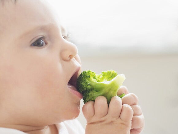 Меню ребенка в 10 месяцев или рацион питания малыша | Nestlebaby.com.ua
