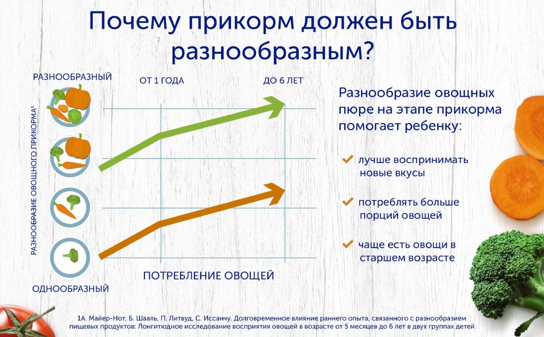 Почему прикорм должен быть разнообразным