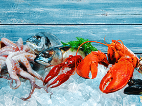 Морепродукти і малюк: сумісні чи ні? Морепродукти і малюк: сумісні чи ні?