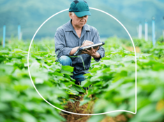 Growing a healthier future