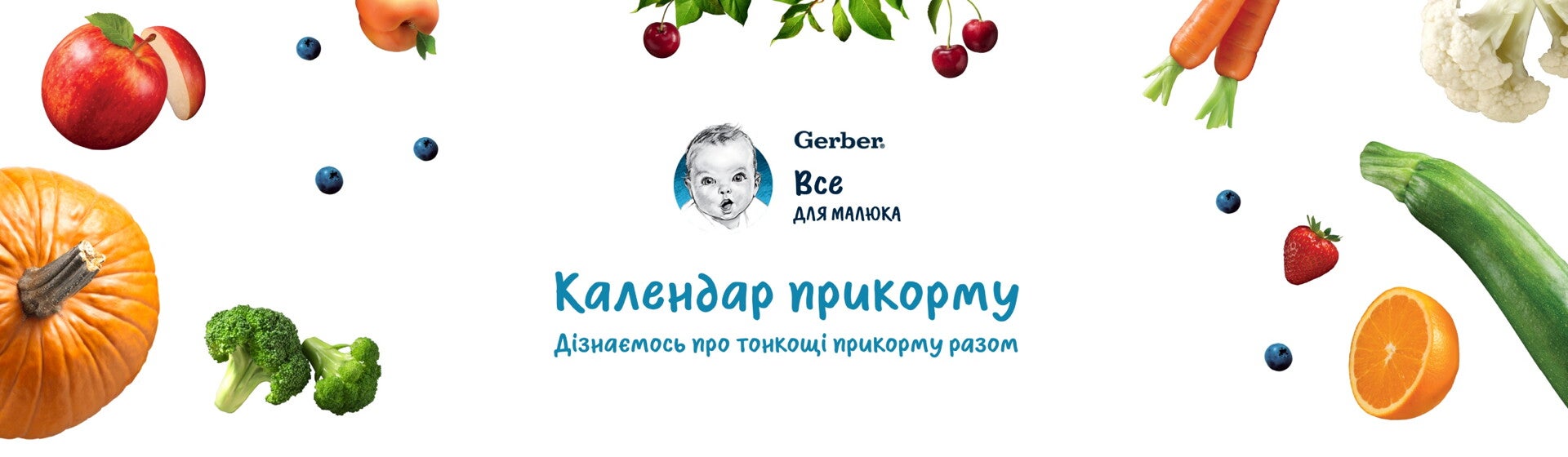 banner-6_2 banner-6_2