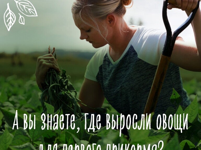 gerber organic banner image