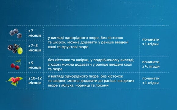 Як вводити ягоди: таблиця прикорму Як вводити ягоди: таблиця прикорму