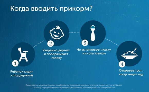 когда вводить прикорм? когда вводить прикорм?