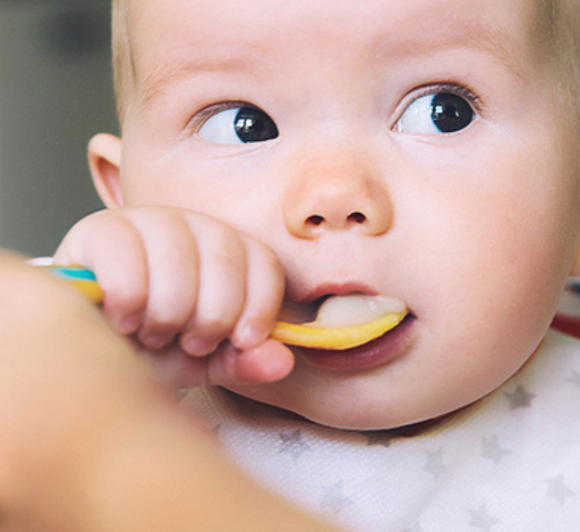 Починаємо прикорм