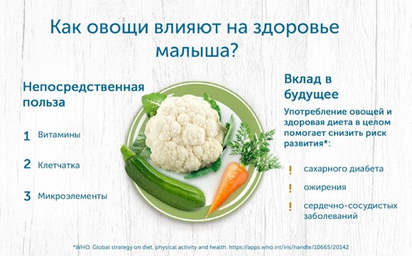 Овощи и фрукты сентября: с чего начинать прикорм ребенка Овощи и фрукты сентября: с чего начинать прикорм ребенка
