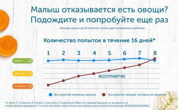 Как правильно вводить прикорм ребенку: общие правила и советы Как правильно вводить прикорм ребенку: общие правила и советы