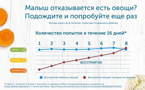 Как правильно вводить прикорм ребенку: общие правила и советы 