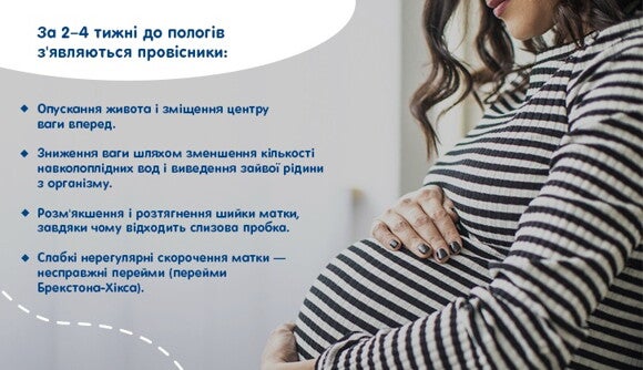 Слизова пробка та інші провісники пологів Слизова пробка та інші провісники пологів