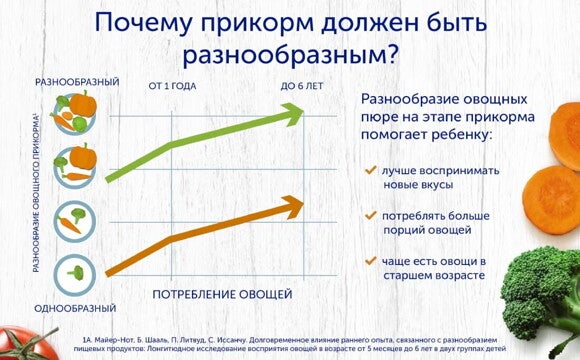 Почему прикорм должен быть разнообразным Почему прикорм должен быть разнообразным