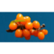 Orange berries on a branch against a blue background.