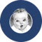 icon_0.png icon_0.png